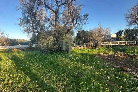 Helårsgrund i Carovigno, Brindisi, Carovigno - € 85.000 | Ref: TER.GROTTAMIRAN - foto 1